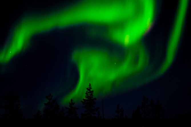Private Northern Lights Tour With Skis Or Snowshoes in Pyhä - Is $169.24 Good Value?