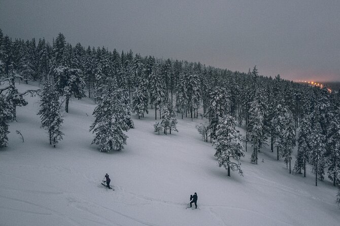 Private Northern Lights Tour With Skis Or Snowshoes in Pyhä - Who Will Enjoy This Tour Most?