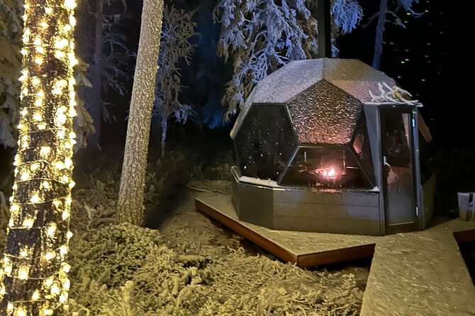 PRIVATE Party dinner in a Glass Igloo Under Northern Lights - Timing, Transfers, and Cold Weather