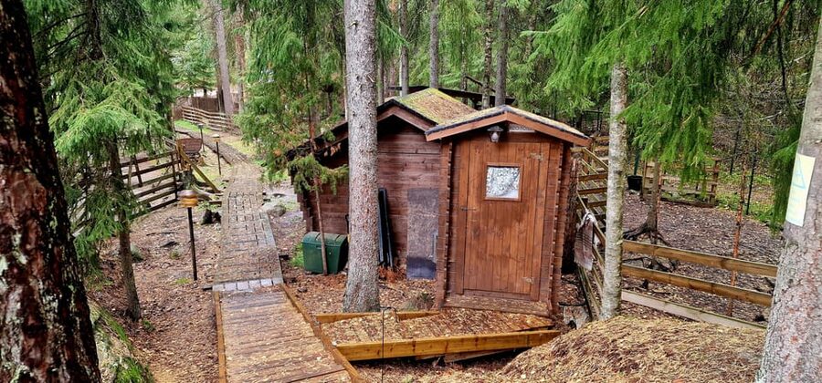 PRIVATE Reindeer Park Adventure by VIP Car - One and a half hours for reindeer, snacks, and forest quiet