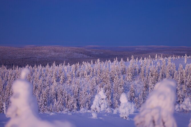 Private Snowshoe or Ski Adventure in Lapland from Rovaniemi - Snowshoes, skis, and the kind of effort to expect
