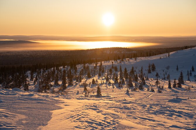 Private Snowshoe or Ski Adventure in Lapland from Rovaniemi - The price makes sense for a full group