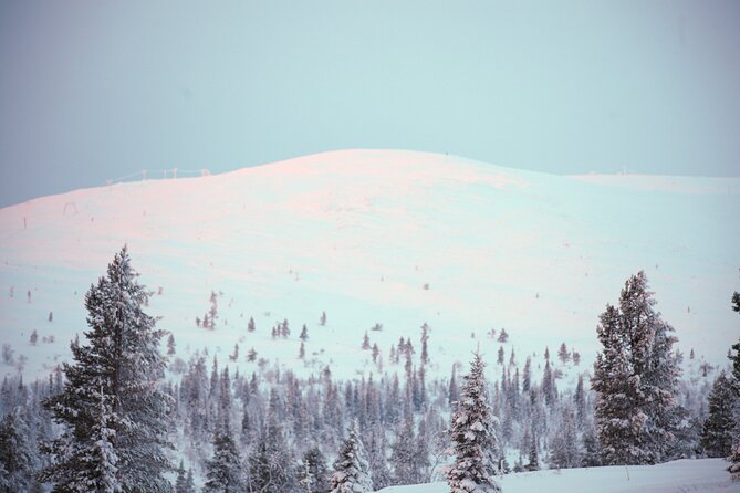 Private: Snowshoeing Safari in spectacular National Park - Snowshoeing Through Pallas-Yllastunturi National Park