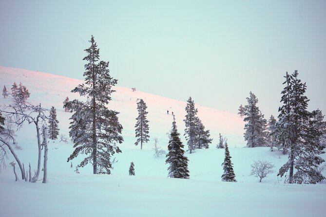 Private: Snowshoeing Safari in spectacular National Park - Is the $266.16 Price Good Value?