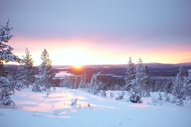 Private: Snowshoeing Safari in spectacular National Park - A Private Guide Makes the Walk More Flexible