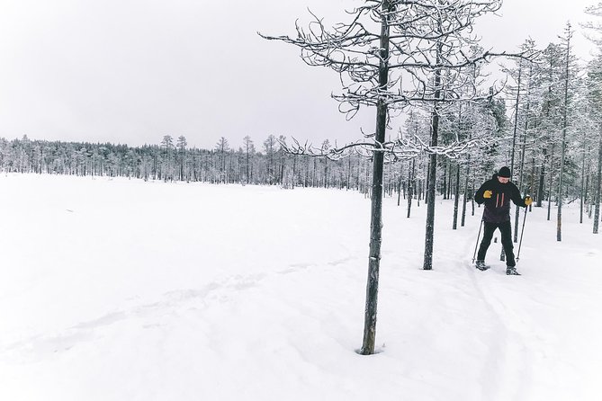 Private Snowshoeing Tour In Pyhätunturi With A Local Guide - What $126.98 per person really buys