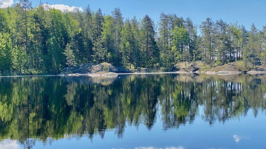 Puumala: Lake Saimaa Seal Watching Cruise - What happens during the three-hour cruise