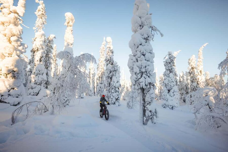 Pyhätunturi: Electric Fatbike Tour in Finnish Lapland - A warm berry drink in the middle of the cold