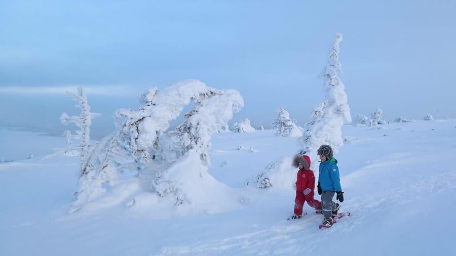 Pyhätunturi: Scenic Snowshoeing Tour in Finnish Lapland - Who will enjoy this snowshoeing tour