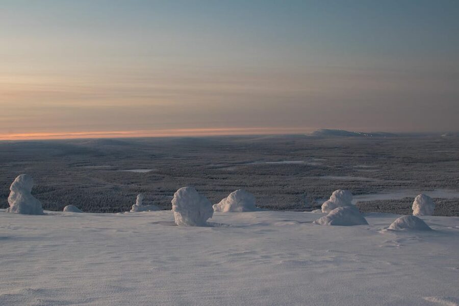 Pyhätunturi: Scenic Snowshoeing Tour in Finnish Lapland - Photographing the snow monsters