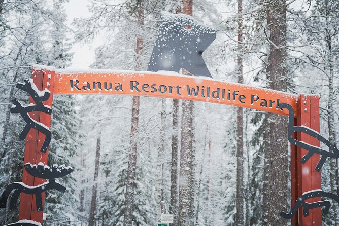 Ranua Wildlife Park Day: Visit the Arctic Animals - Arctic foxes, wolverines, lynx, and wolves