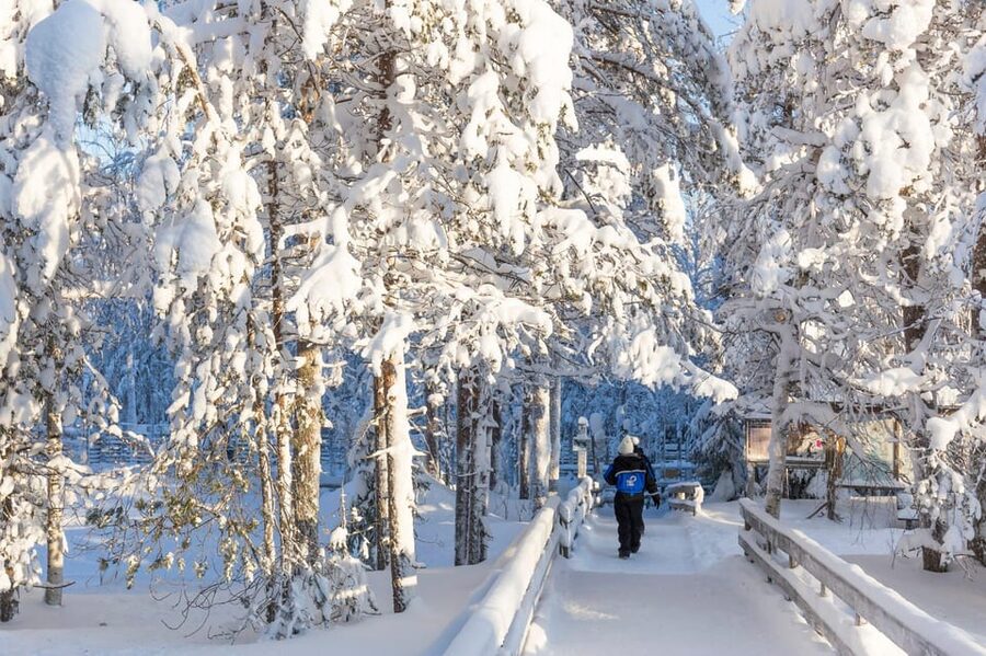 Ranua: Wildlife Park Entrance Ticket - Lynx, owls, and the quieter rewards