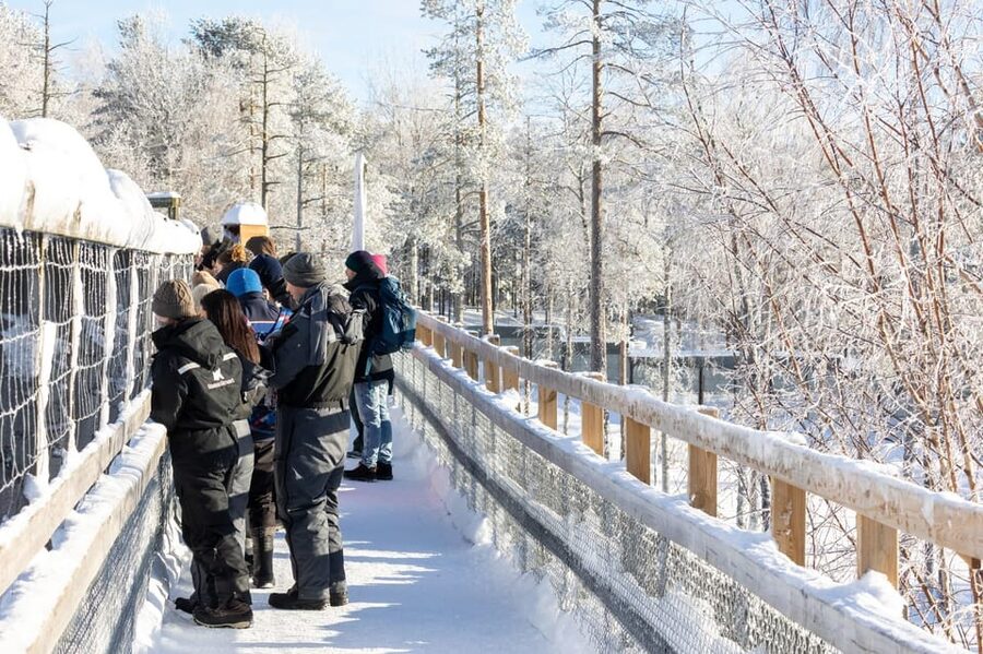 Ranua: Wildlife Park Entrance Ticket - Who will enjoy Ranua most?