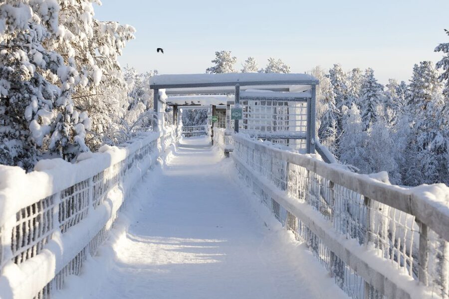 Ranua Wildlife Park Guided Tour from Rovaniemi - Who will enjoy this tour most?
