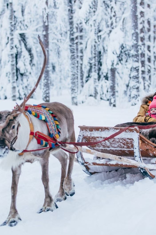 Reindeer Farm Visit with Sleigh Ride - What the 1.5-hour itinerary feels like