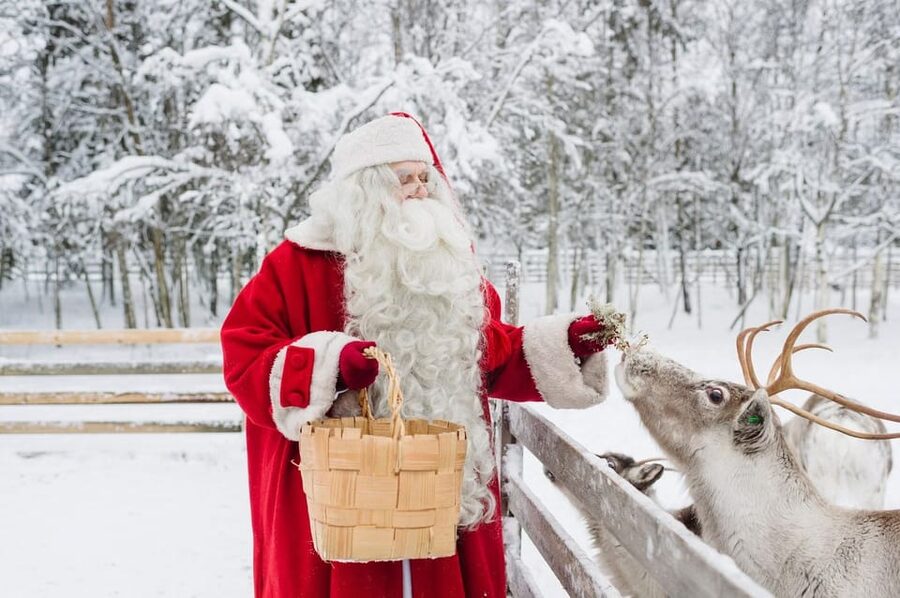 Reindeer Farm Visit with Sleigh Ride - The farm setting and the promised nature element
