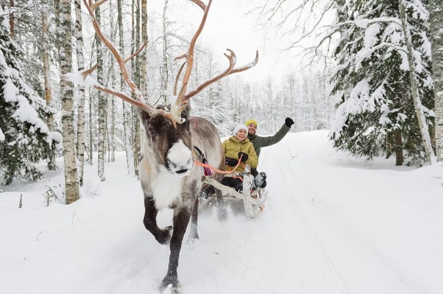 Reindeer Farm Visit with Sleigh Ride - Practical details that affect your day