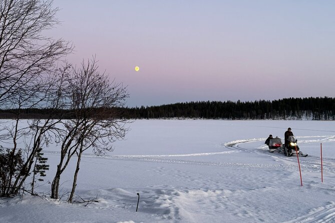 Reindeer Husbandry with Snowmobile Sleigh Ride and Cabin Lunch - A reindeer day with a family connection