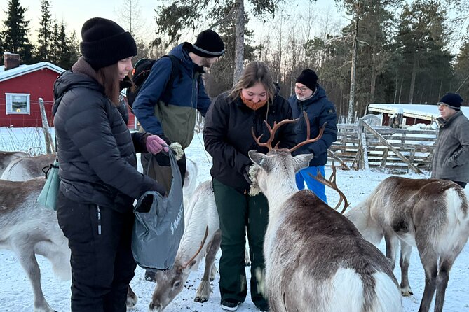 Reindeer Husbandry with Snowmobile Sleigh Ride and Cabin Lunch - Warming up in the cabin and kota