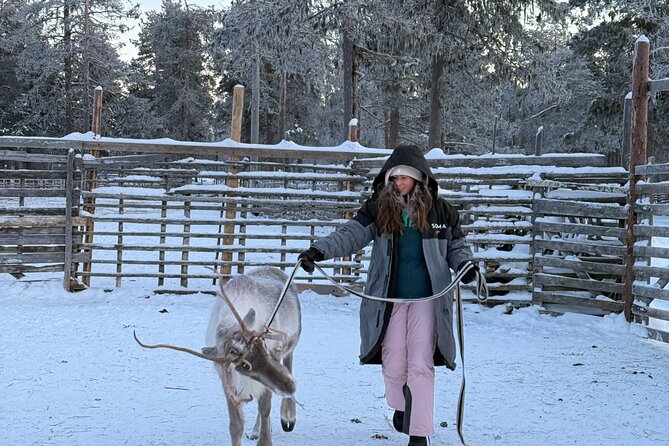 Reindeer Husbandry with Snowmobile Sleigh Ride and Cabin Lunch - Who will enjoy this most