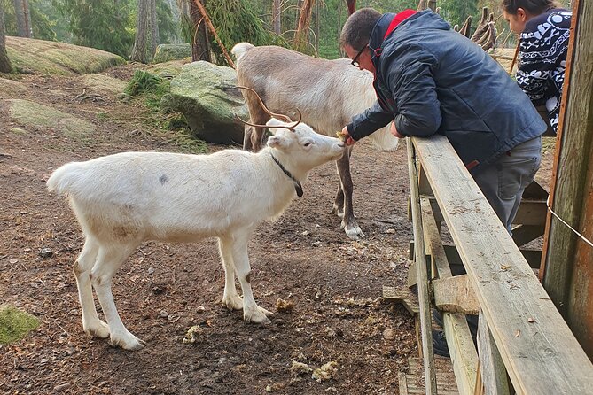 Reindeer Park Adventure - The price needs careful checking