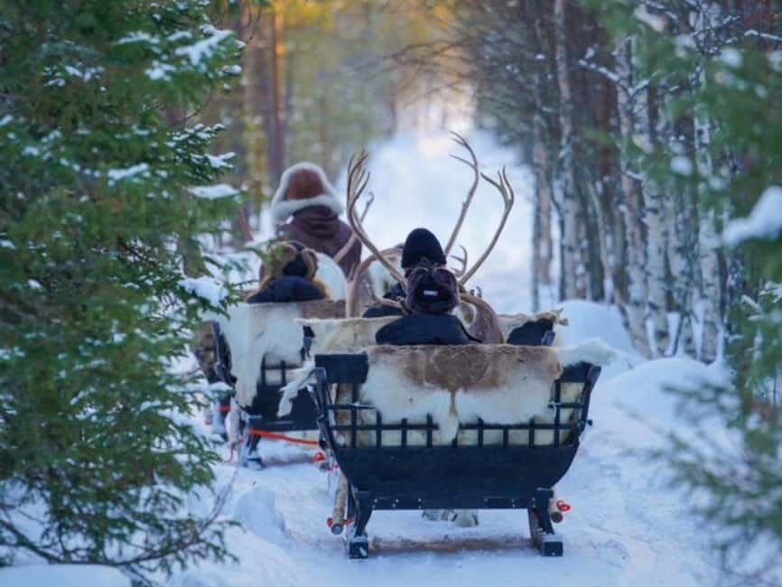 Reindeer Safari at a 200-Year-Old Farm & Long Sled Ride - The 2.5 kilometer sled ride