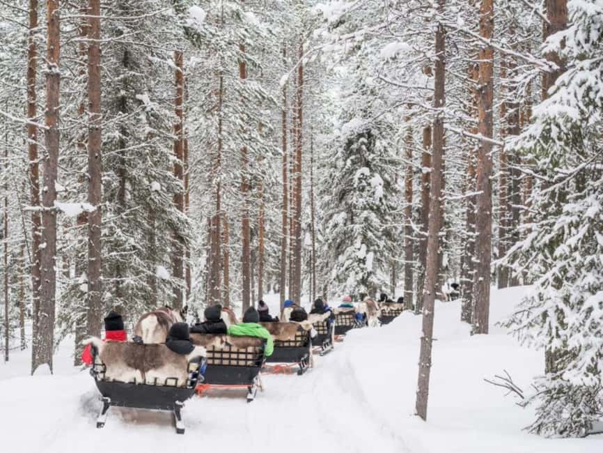 Reindeer Safari at a 200-Year-Old Farm & Long Sled Ride - Tea, cookies, and the small comforts