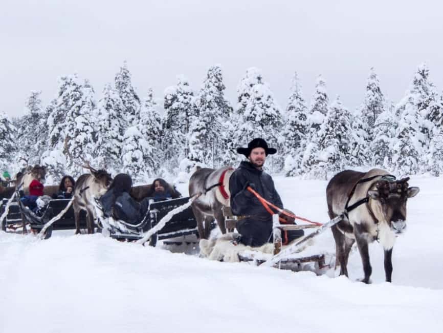 Reindeer Safari at a 200-Year-Old Farm & Long Sled Ride - Why the group size matters