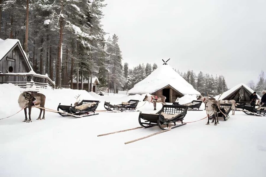 Reindeer Safari at a 200-Year-Old Farm & Long Sled Ride - Is $260 a fair price?