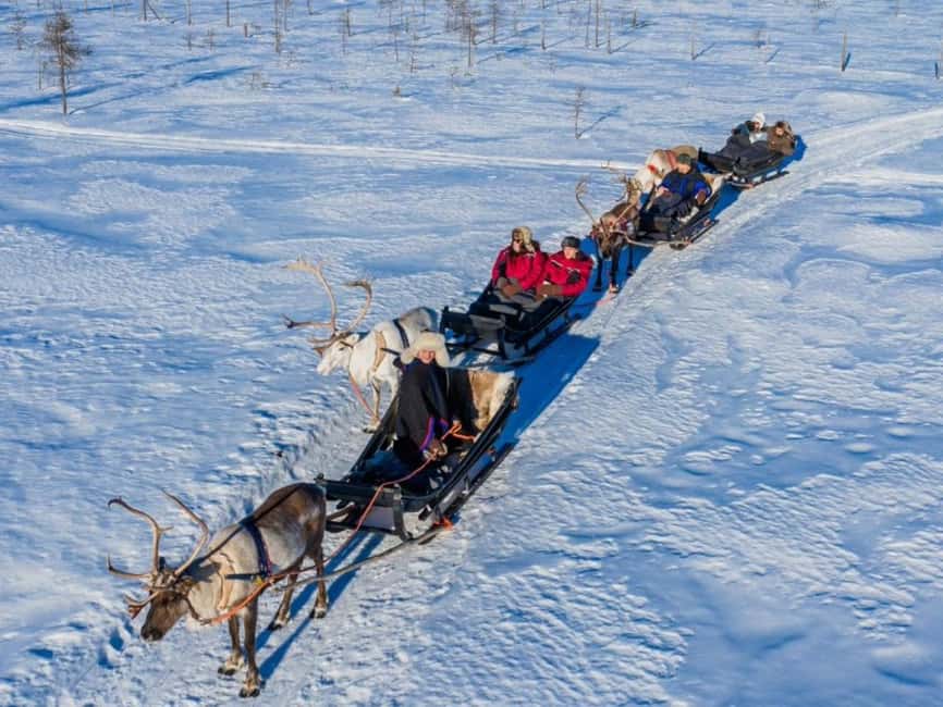 Reindeer Safari at a 200-Year-Old Farm & Long Sled Ride - What happens during the three-hour visit