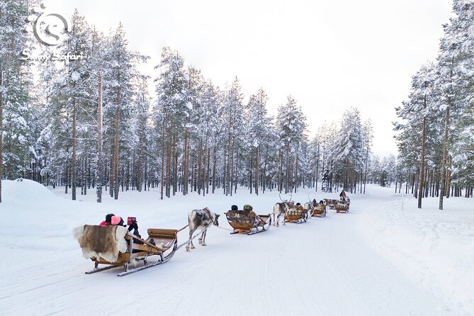 Reindeer Safari in Arctic Wilderness - Who will enjoy this safari most