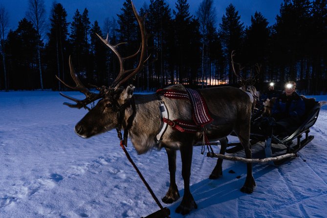 Reindeer Sleigh Ride Across the Night in Apukka Resort Rovaniemi - The campfire stop, sausage, and hot juice