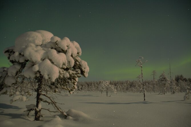 Reindeer Sleigh Ride Across the Night in Apukka Resort Rovaniemi - Northern Lights potential at 8:30 p.m.