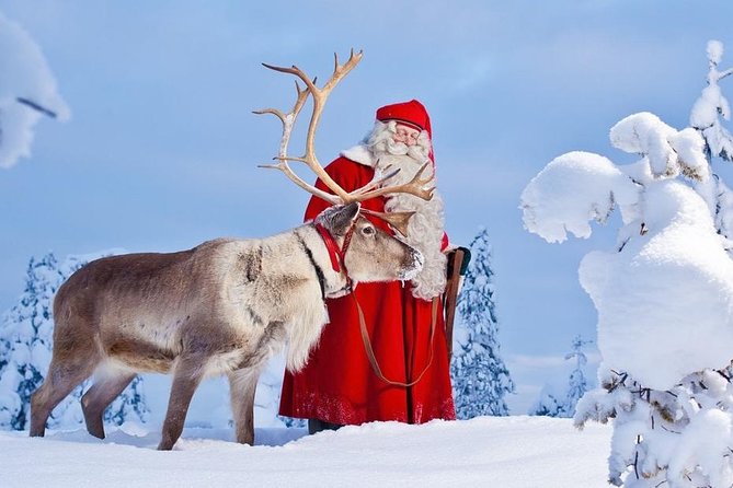 Reindeer Sleigh Ride and Farm Experience from Rovaniemi - What this Rovaniemi reindeer experience is really like