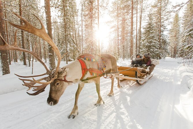 Reindeer Sleigh Ride and Farm Experience from Rovaniemi - The sleigh ride through the snowy forest