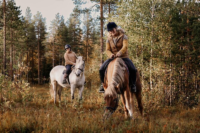 Riding Tour with Finnhorses at Santa Claus Village - What to wear for a Finnish winter ride