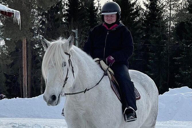 Riding Tour with Finnhorses at Santa Claus Village - Who will get the most from this experience?