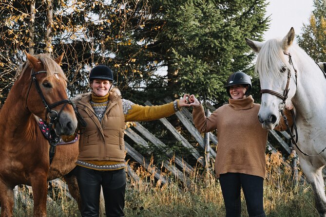 Riding Tour with Finnhorses at Santa Claus Village - The forest route and its gentle pace