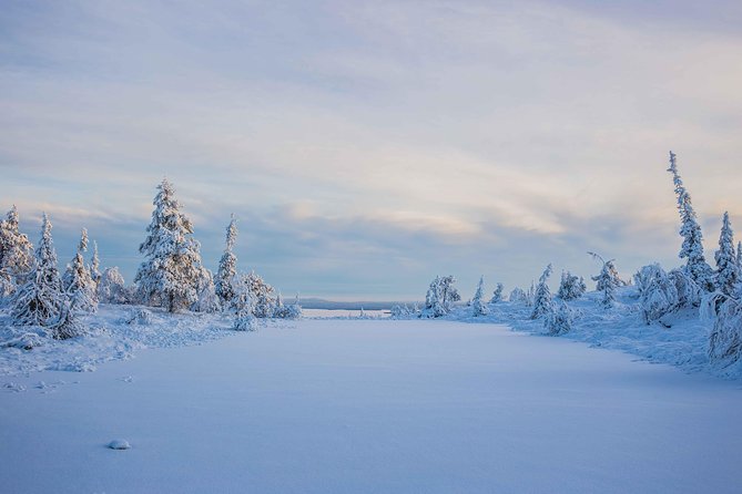 Riisitunturi wilderness adventure - Warm clothes, boots, and a hot outdoor break