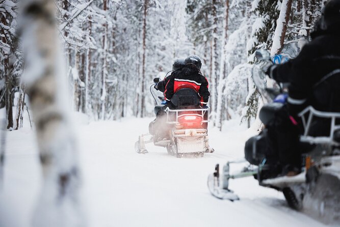Rovaniemi 2 days Activities Package - Day two travels to Ranua Wildlife Park