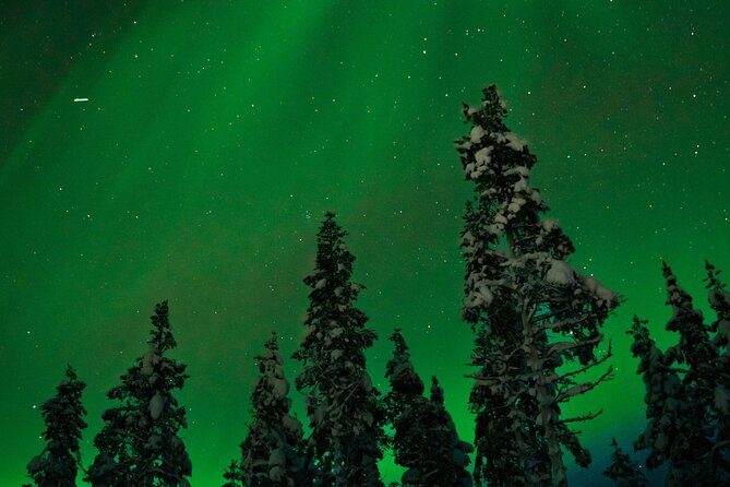 Rovaniemi 2 days Activities Package - What the $464.99 price really buys