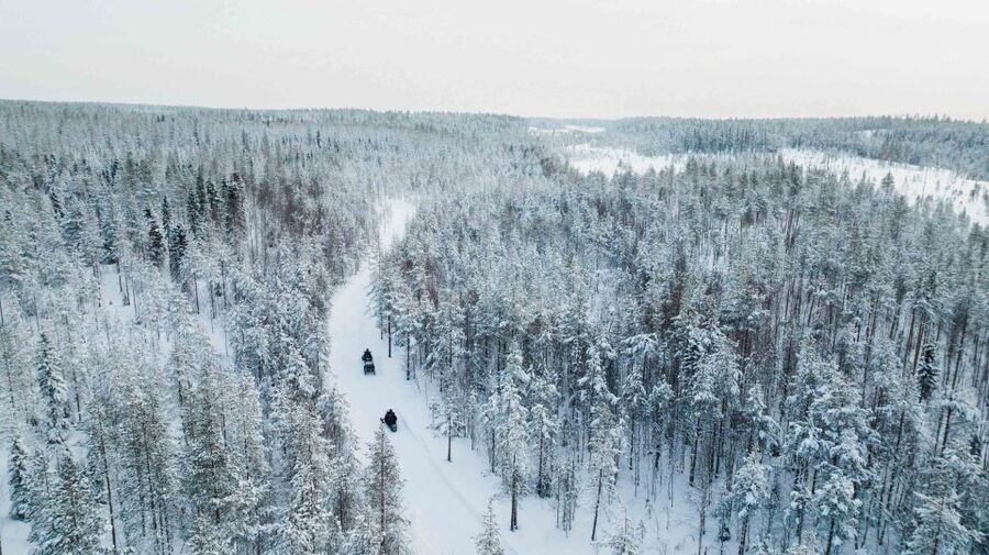 Rovaniemi: 3-Hour Snowmobile Safari in Lapland - From Rovaniemi to the edge of the Arctic Circle