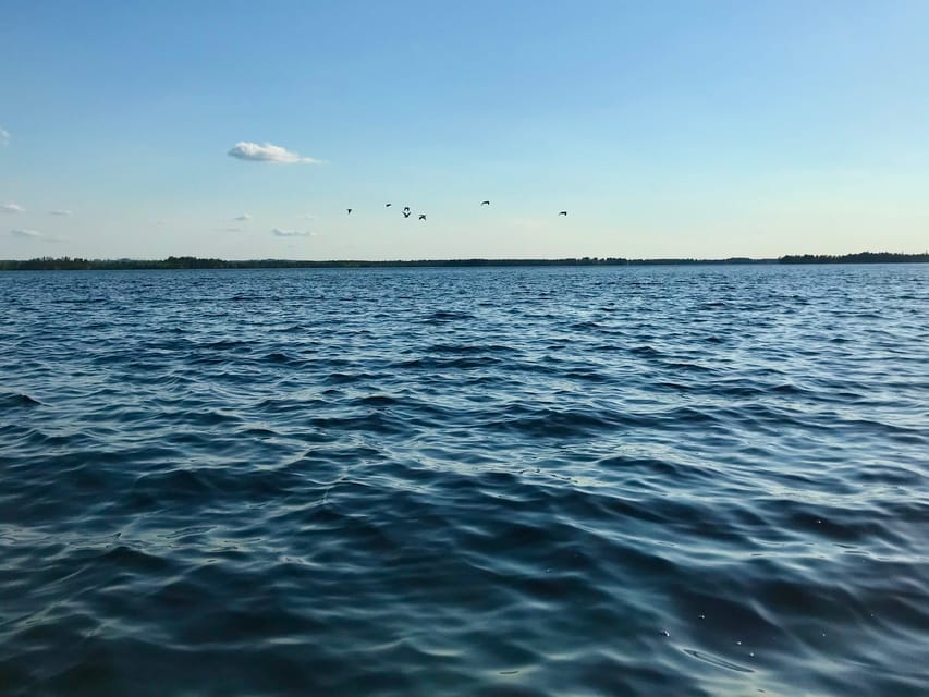 Rovaniemi: All-Day Canoe Adventure - Who should book this canoe trip