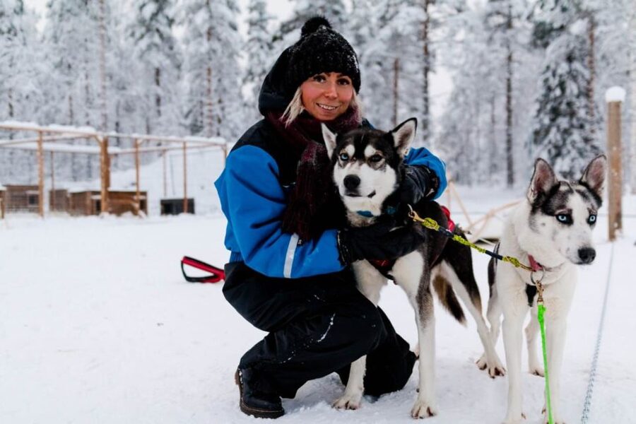 Rovaniemi: Apukka Husky Adventure - Key points before you book