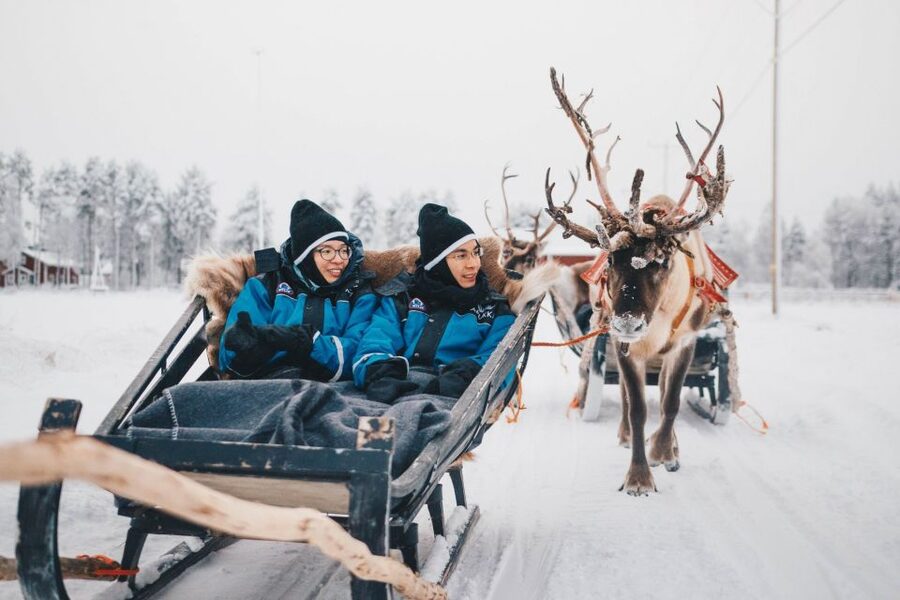 Rovaniemi: Apukka Reindeer Journey - Meeting the reindeer up close