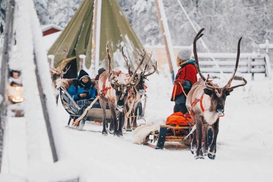Rovaniemi: Apukka Reindeer Journey - Getting ready for a 45-minute sleigh ride