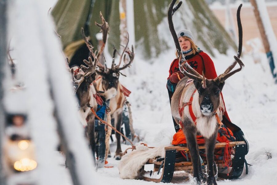 Rovaniemi: Apukka Reindeer Sleigh Ride at Night - A quiet reindeer ride beyond Rovaniemi