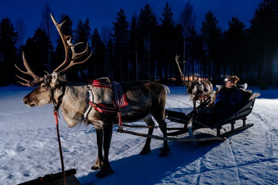 Rovaniemi: Apukka Reindeer Sleigh Ride at Night - A bonfire, hot drink, and local stories