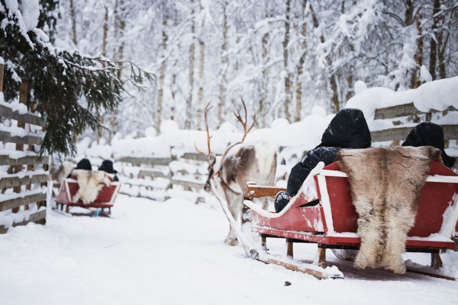 Rovaniemi: Arctic Circle Highlights by Snowmobile - One hour on a snowmobile through Arctic forest