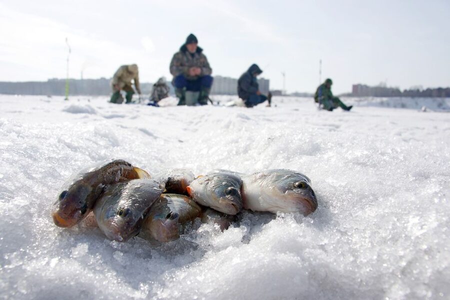 Rovaniemi: Arctic Circle Ice Fishing Experience - FAQ